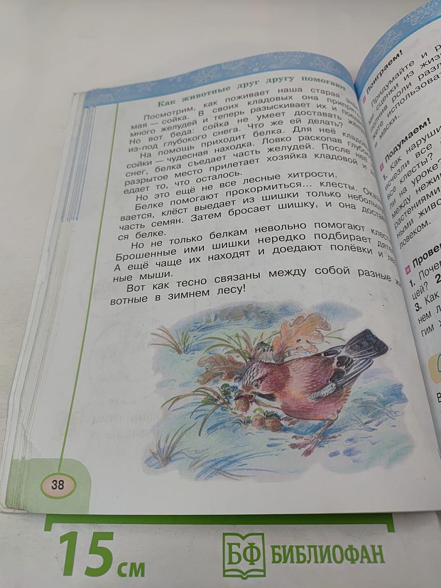 Окружающий мир, 2 класс, Часть 2