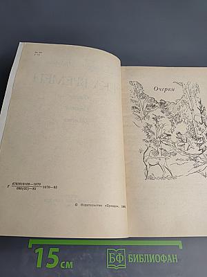 Река времен