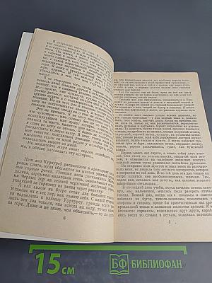 Белый пароход