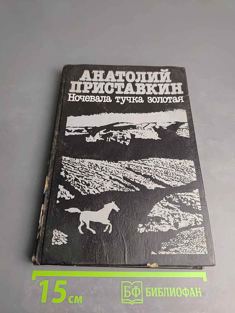 Ночевала тучка золотая