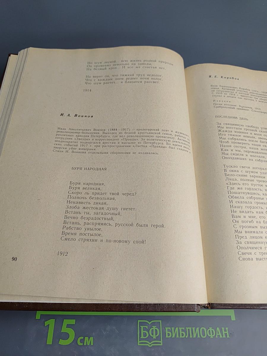 Русская поэзия конца XIX - начала XX века (дооктябрьский период)