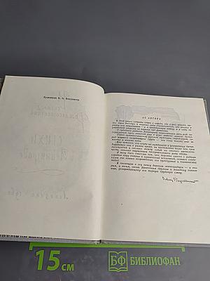 Стихи о Ленинграде