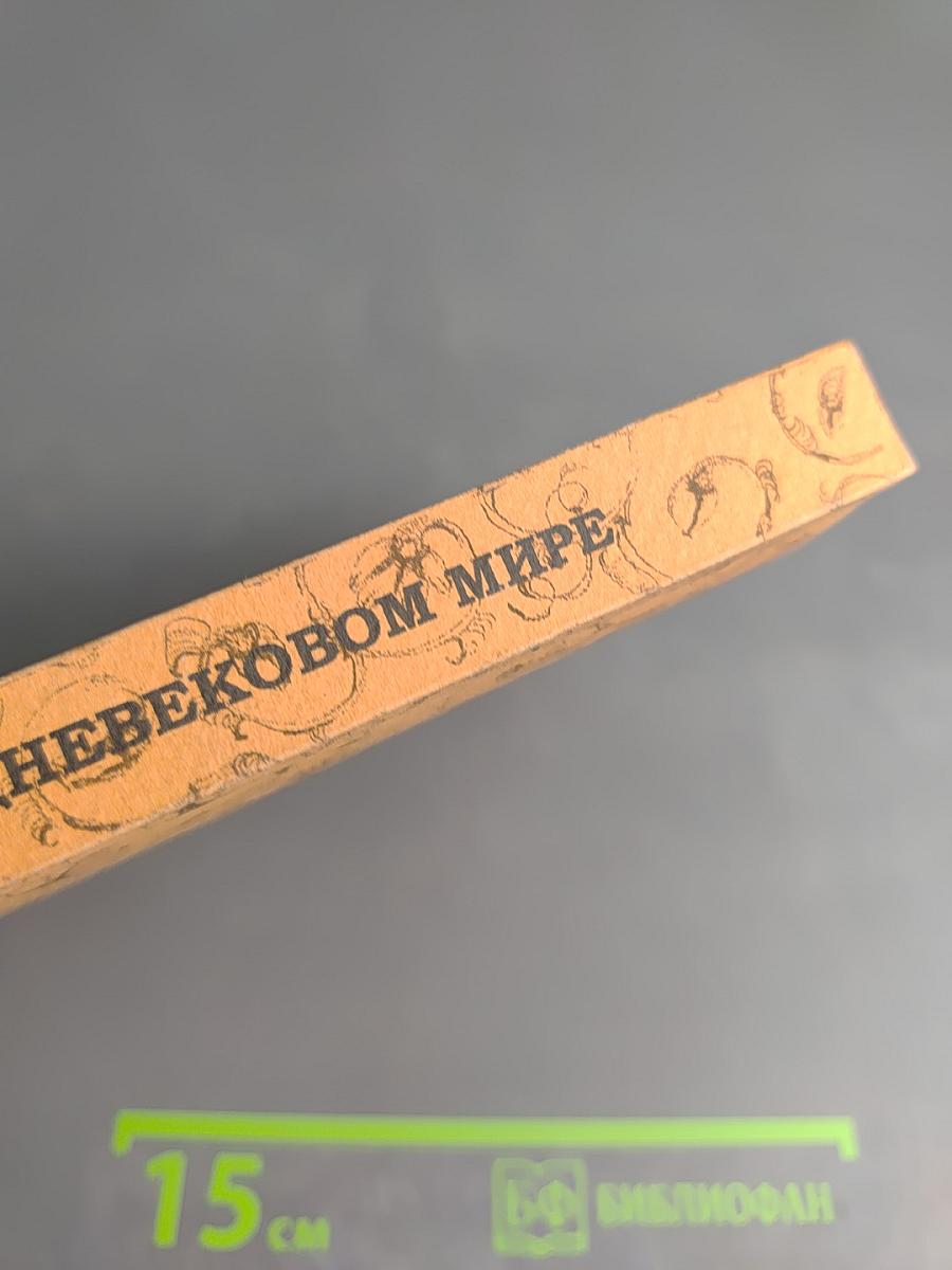 Право в средневековом мире