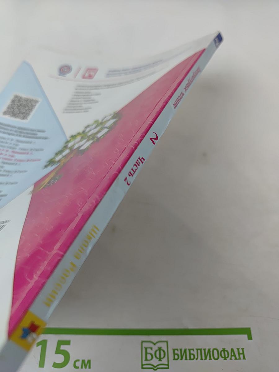 Литературное чтение. 2 класс. Часть 2