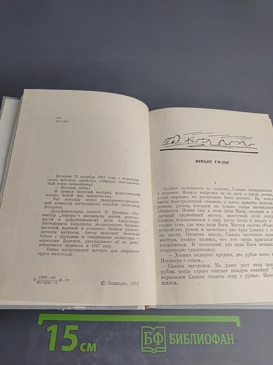 Комиссар «Авроры»