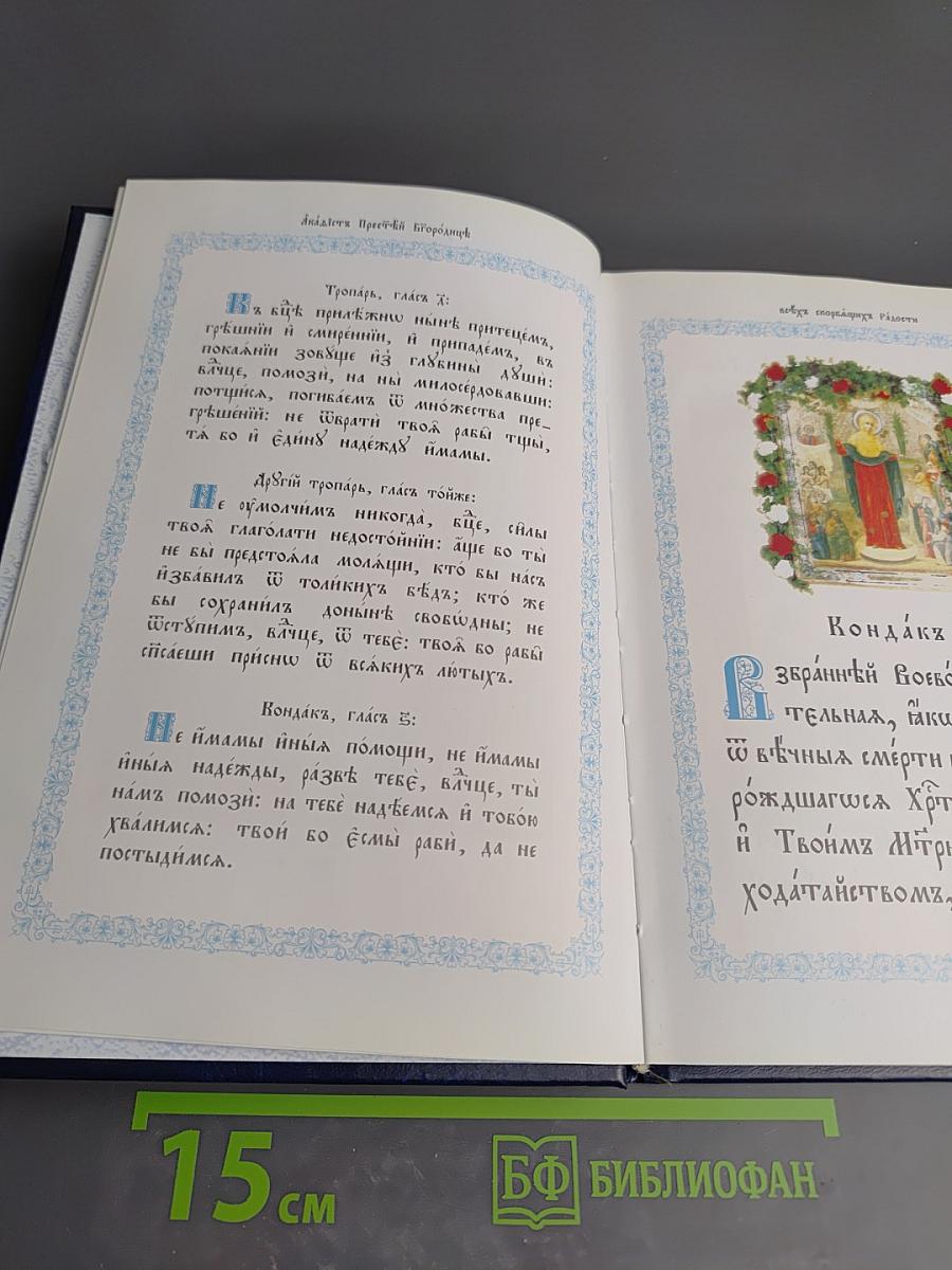 Акафист Пресвятой Владычице нашей Богородице Всех скорбящих Радости