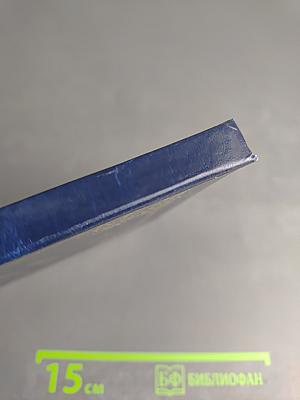 Акафист Пресвятой Владычице нашей Богородице Всех скорбящих Радости