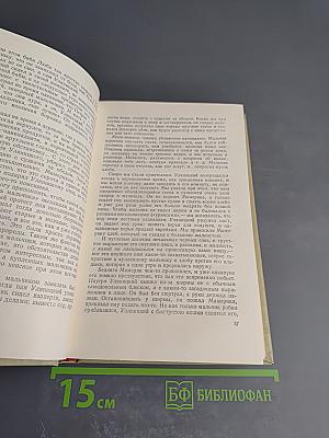 Собрание сочинений. Том пятый. История моего современника