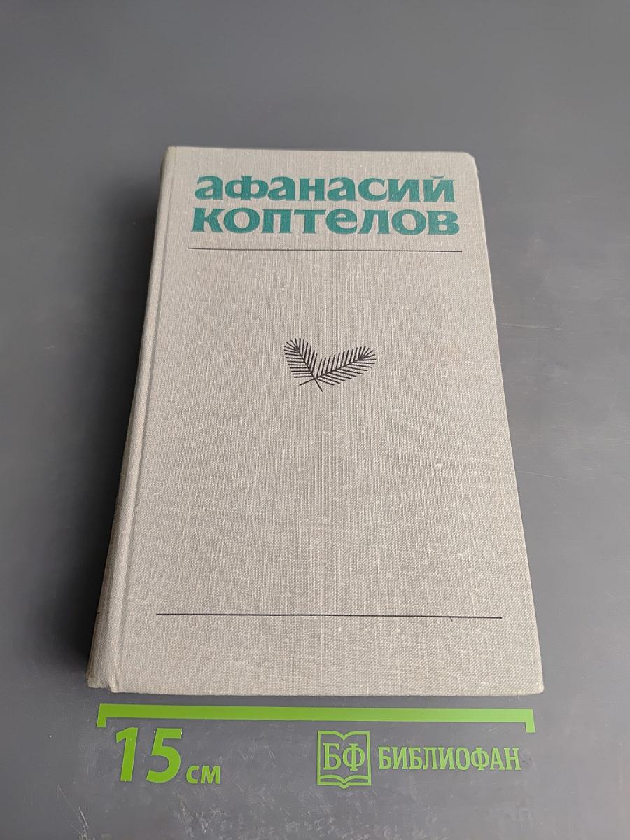 Возгорится пламя. Роман. Том четвертый