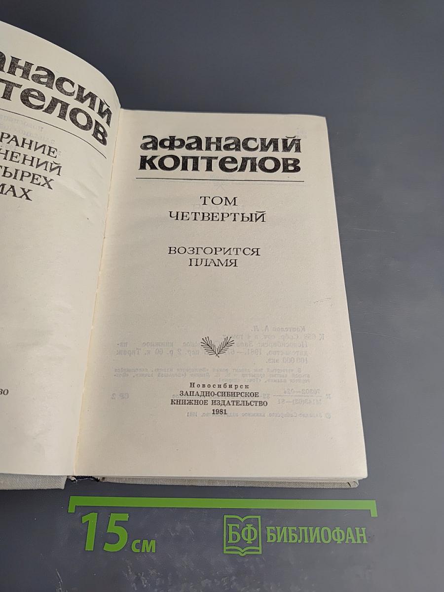 Возгорится пламя. Роман. Том четвертый