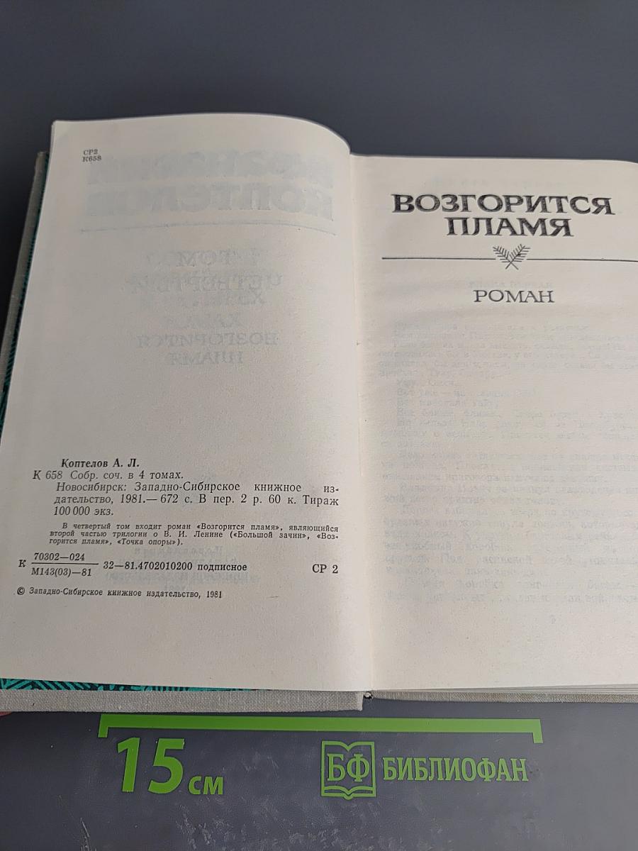 Возгорится пламя. Роман. Том четвертый