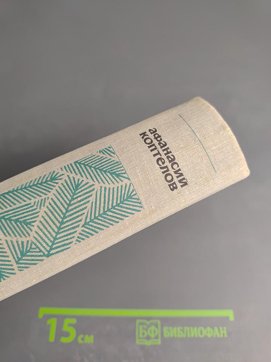 Возгорится пламя. Роман. Том четвертый