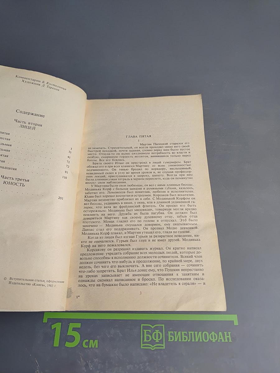 Пушкин. Часть вторая: Лицей. Часть третья: Юность