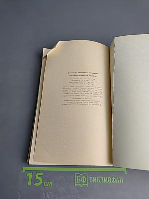 Загадки великого океана