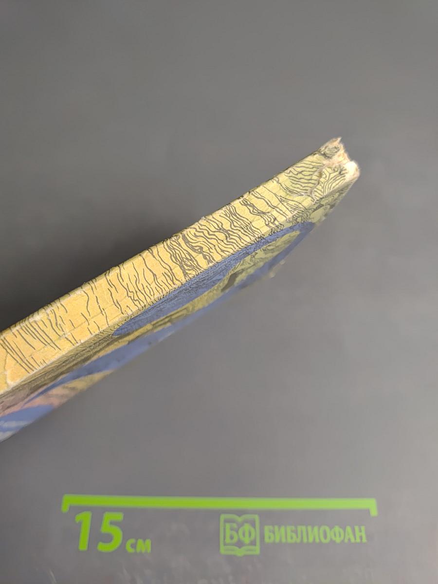 Загадки великого океана