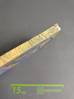 Загадки великого океана