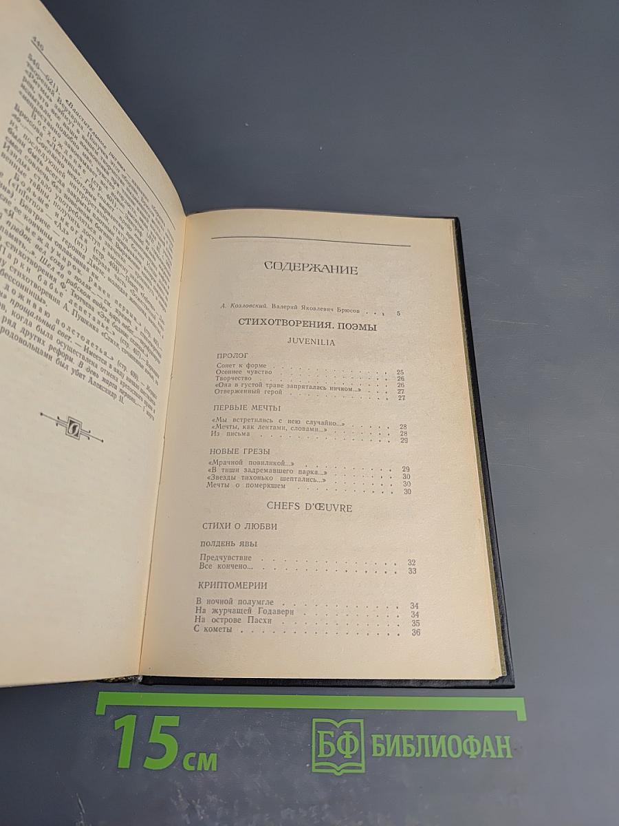 В. Я. Брюсов. Избранное