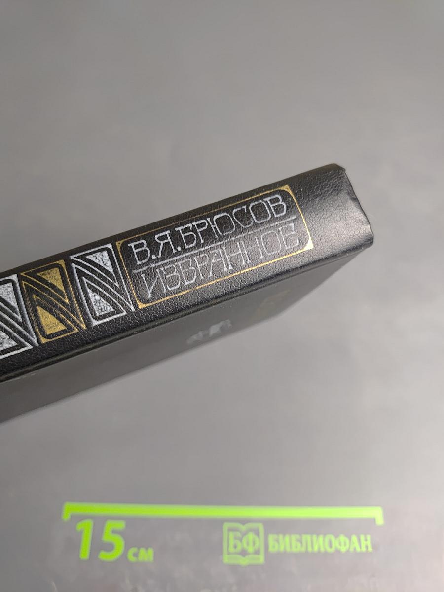 В. Я. Брюсов. Избранное