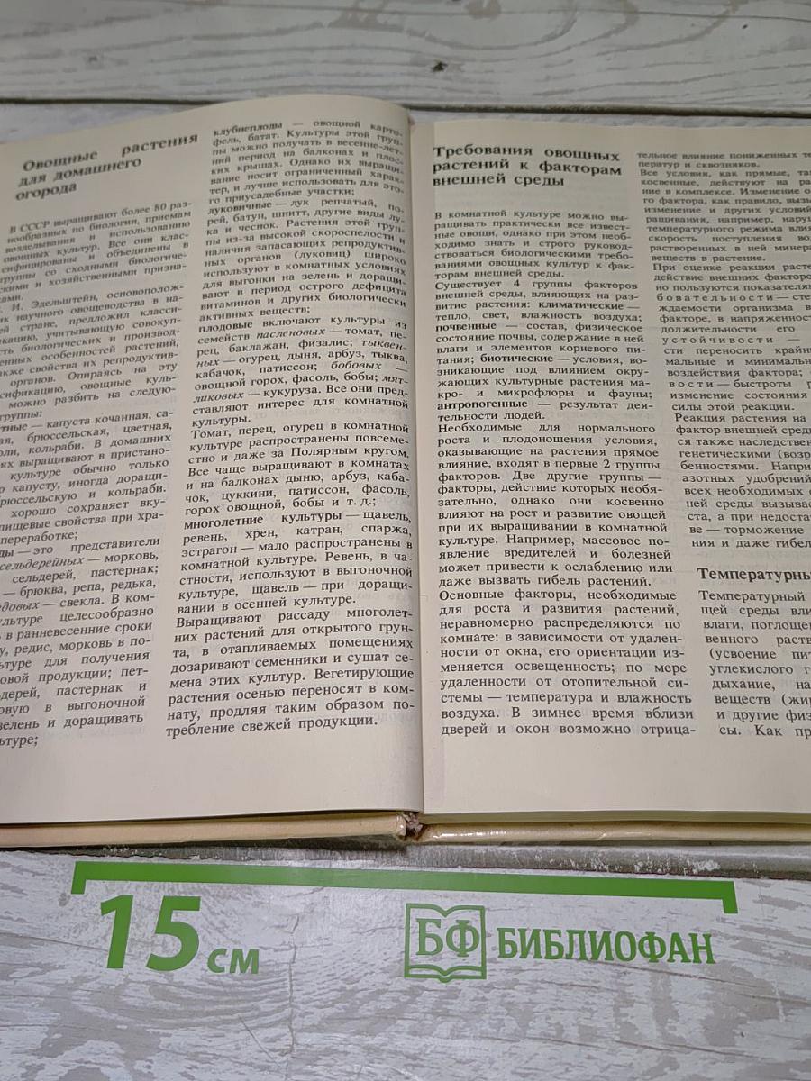 Комнатное овощеводство