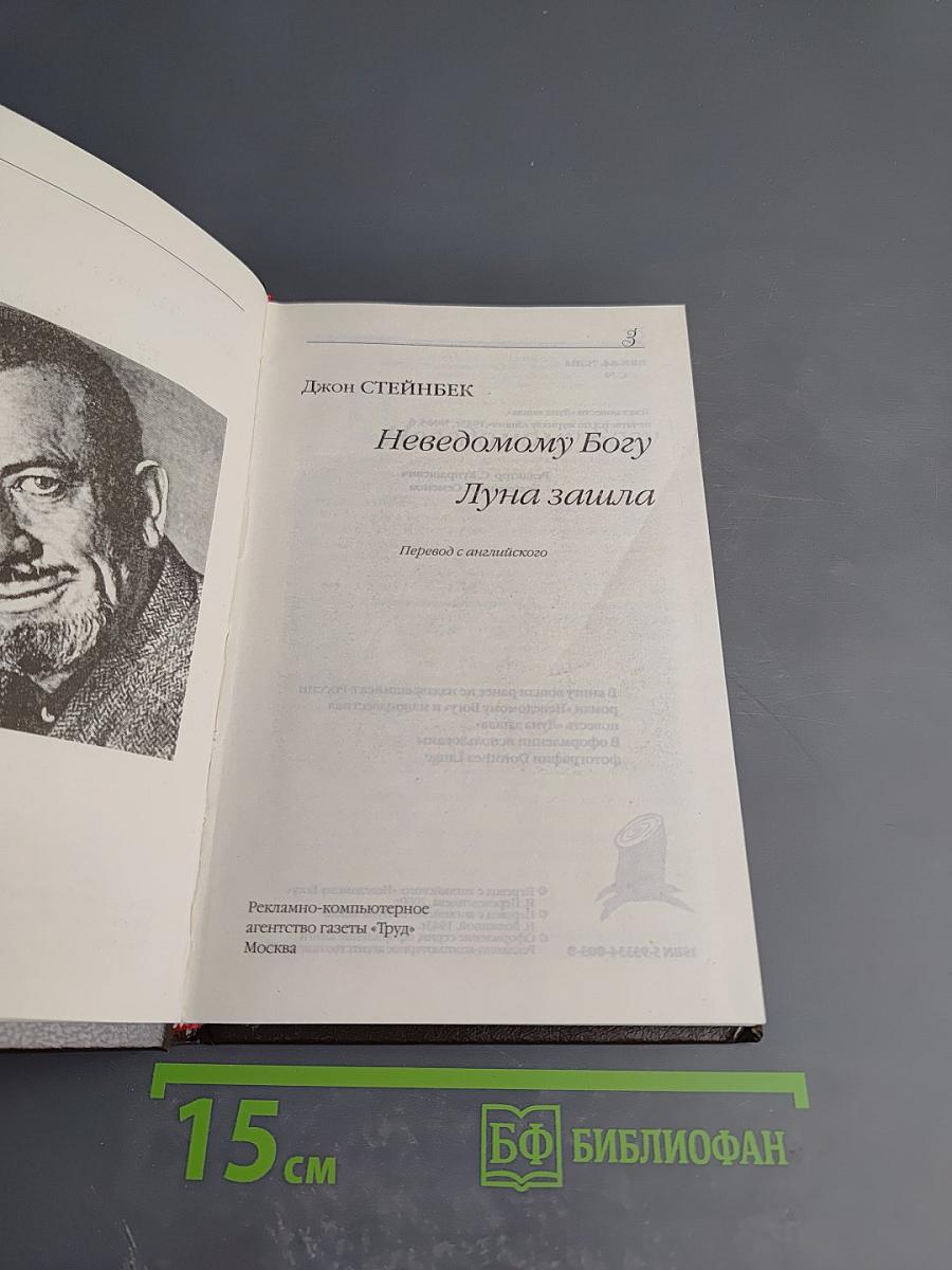 Неведомому Богу. Луна зашла