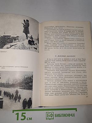 Ленинградский дневник