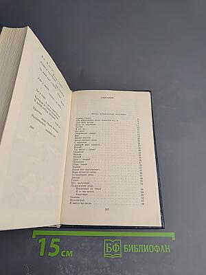 Время твое и мое