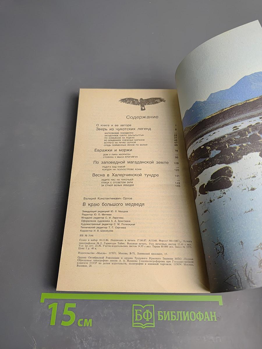 В краю большого медведя