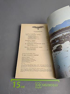 В краю большого медведя