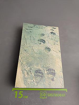 В краю большого медведя