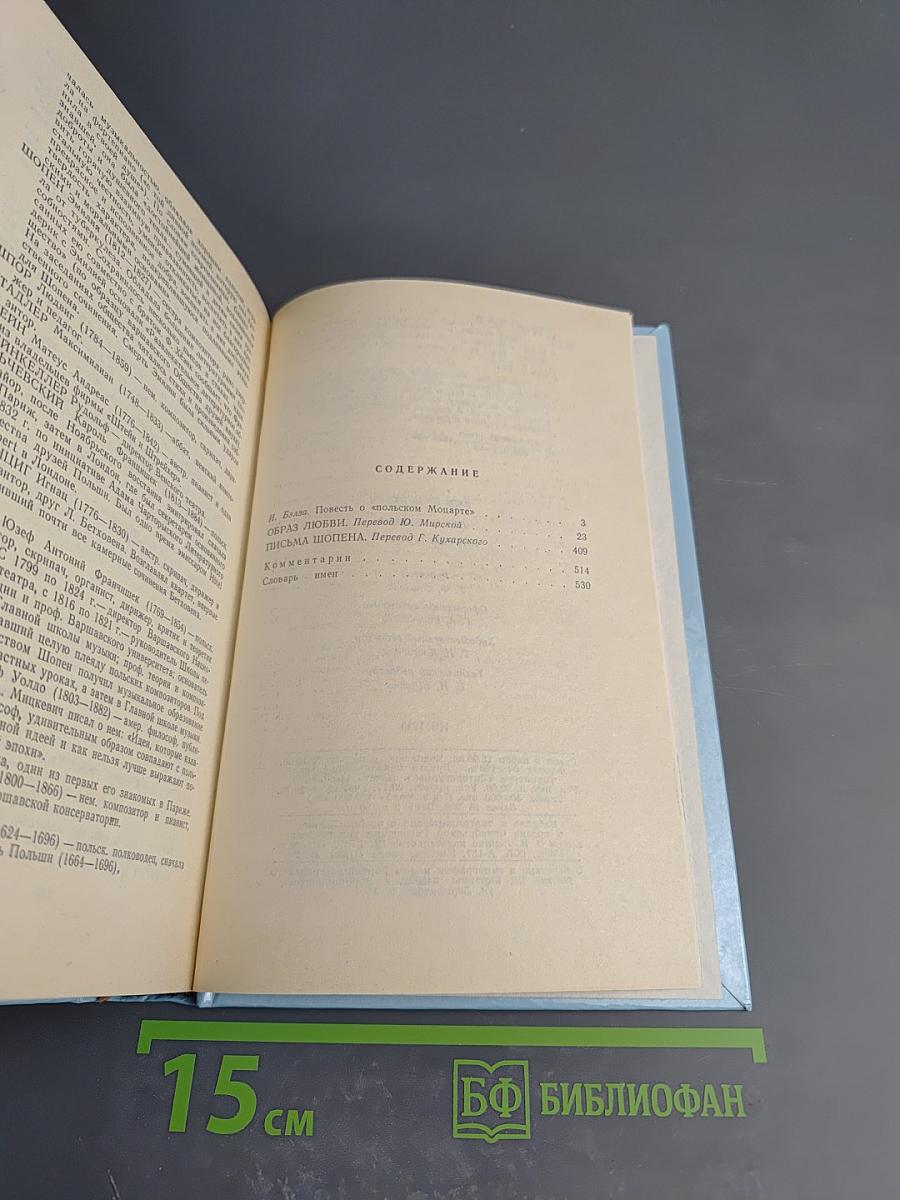 Образ любви. Письма Шопена