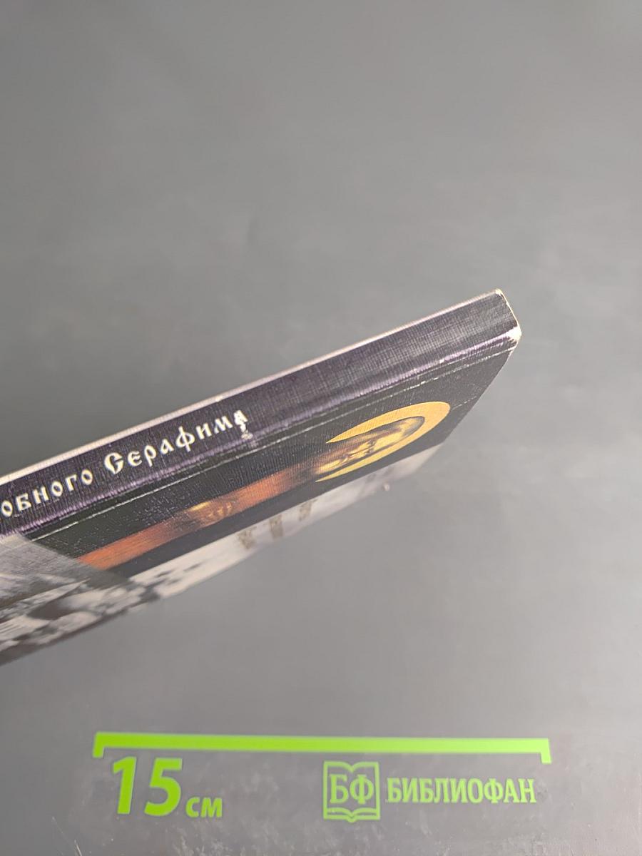 Обитель преподобного Серафима. История Саровской пустыни в XX веке