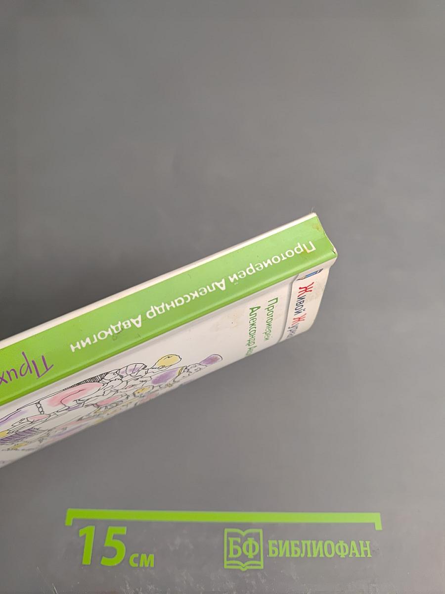 Рассказы сельского священника. Приходские хроники II