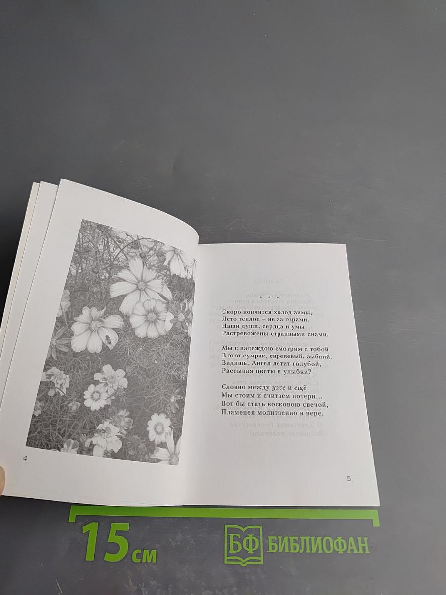 Предчувствие неба