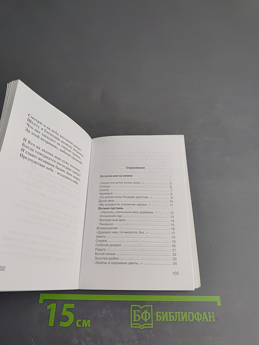 Предчувствие неба