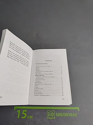 Предчувствие неба