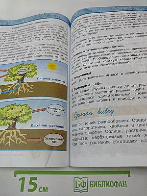 Окружающий мир 3 класс Часть первая