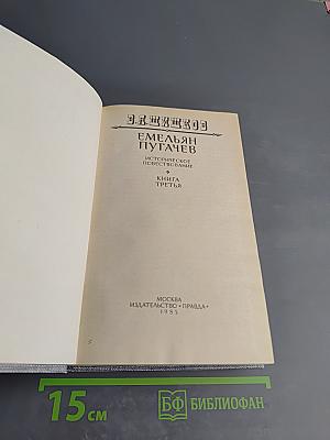 Емельян Пугачев. Книга третья