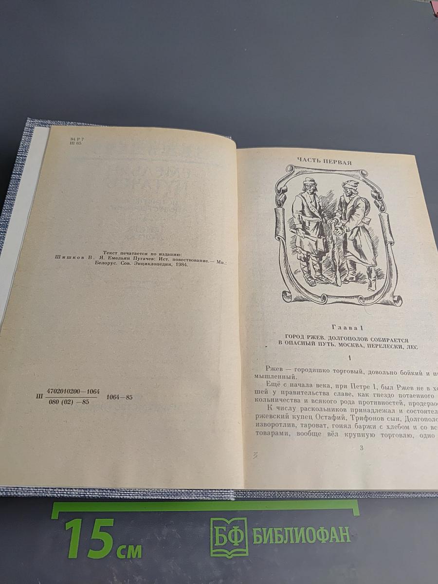 Емельян Пугачев. Книга третья