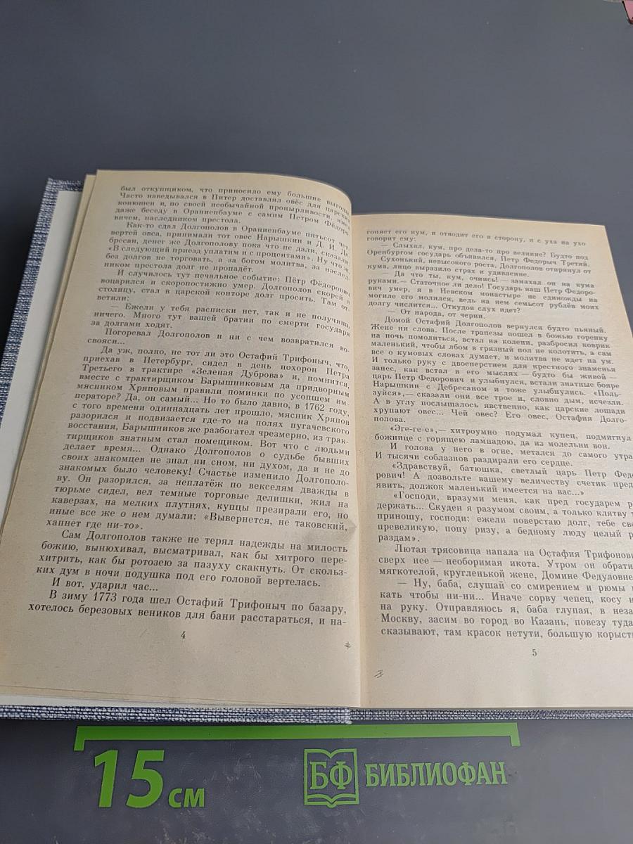 Емельян Пугачев. Книга третья