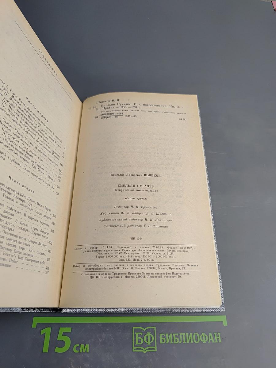 Емельян Пугачев. Книга третья