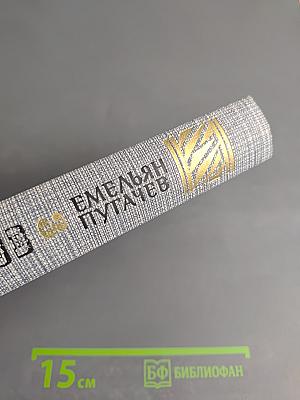 Емельян Пугачев. Книга третья