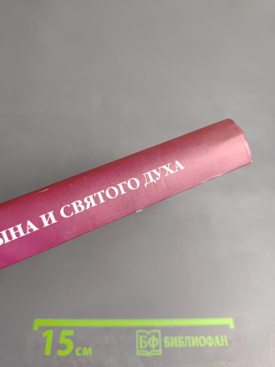 Во имя Отца и Сына и Святого Духа. Проповеди
