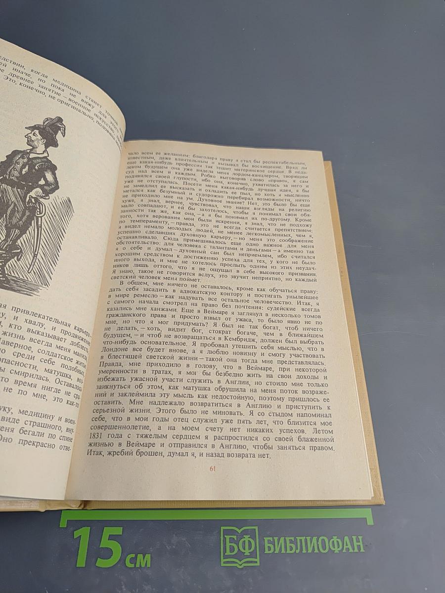 Записки викторианского джентльмена