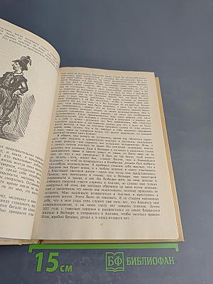 Записки викторианского джентльмена