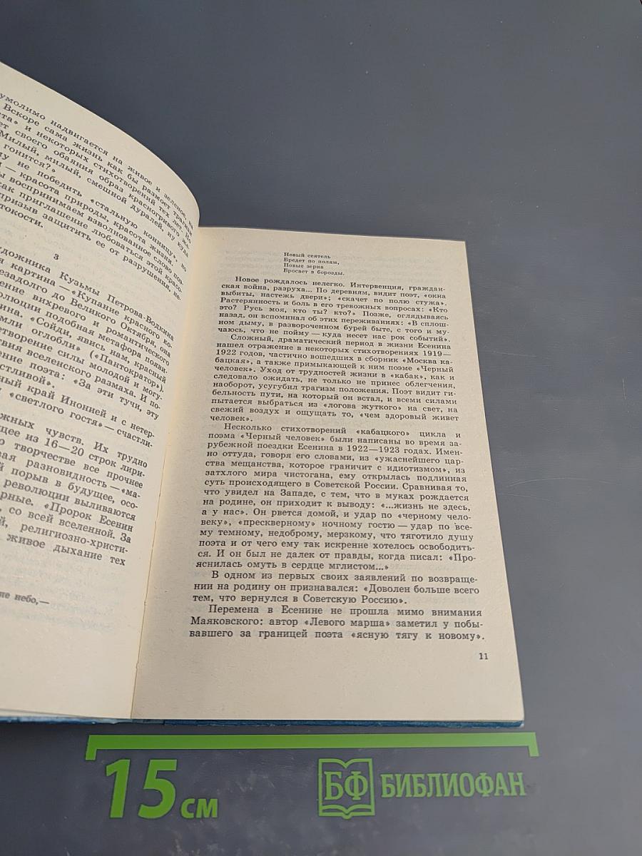 Снежные ветры