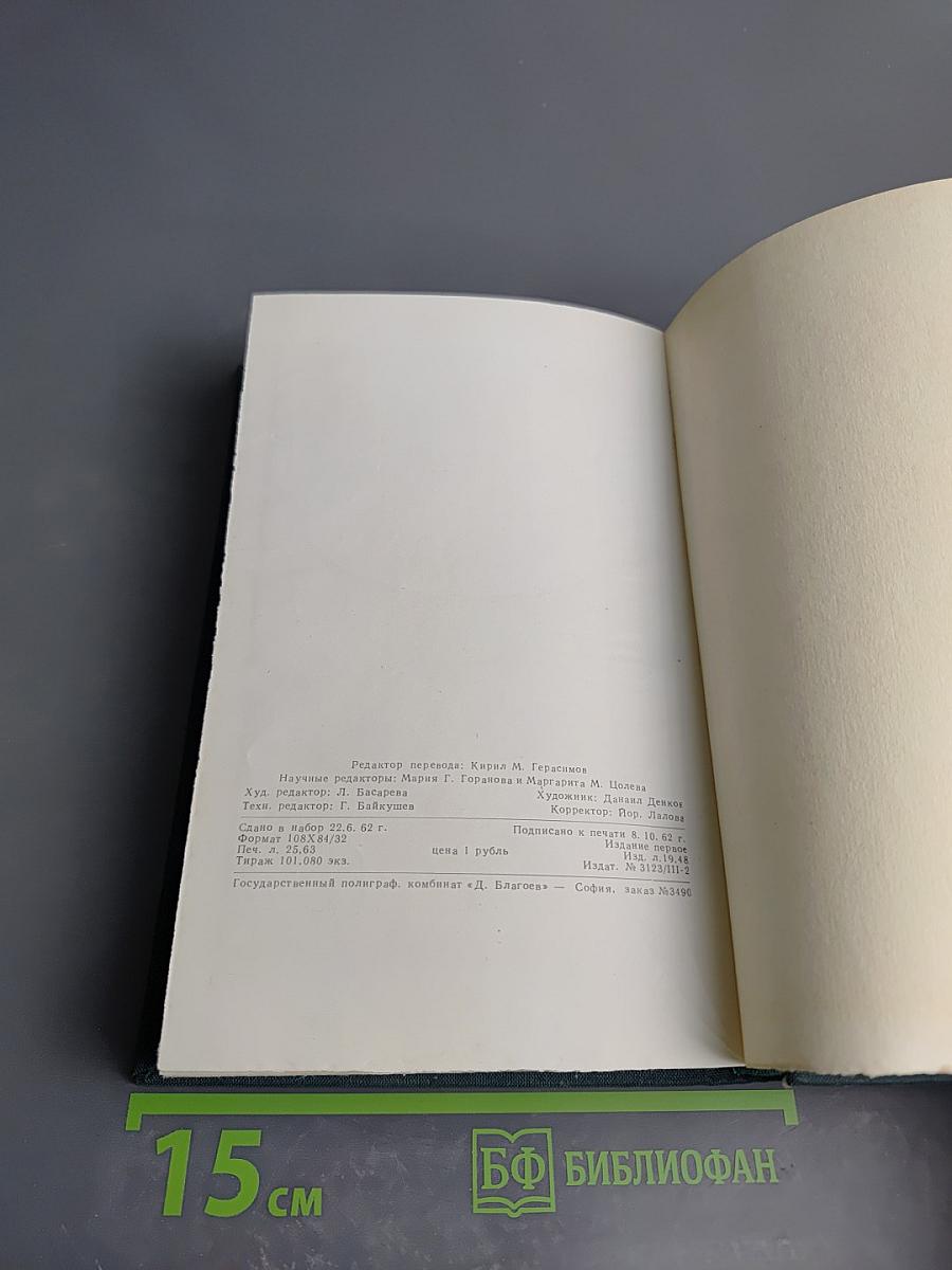 Овощи в современной кулинарии