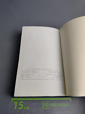 Овощи в современной кулинарии