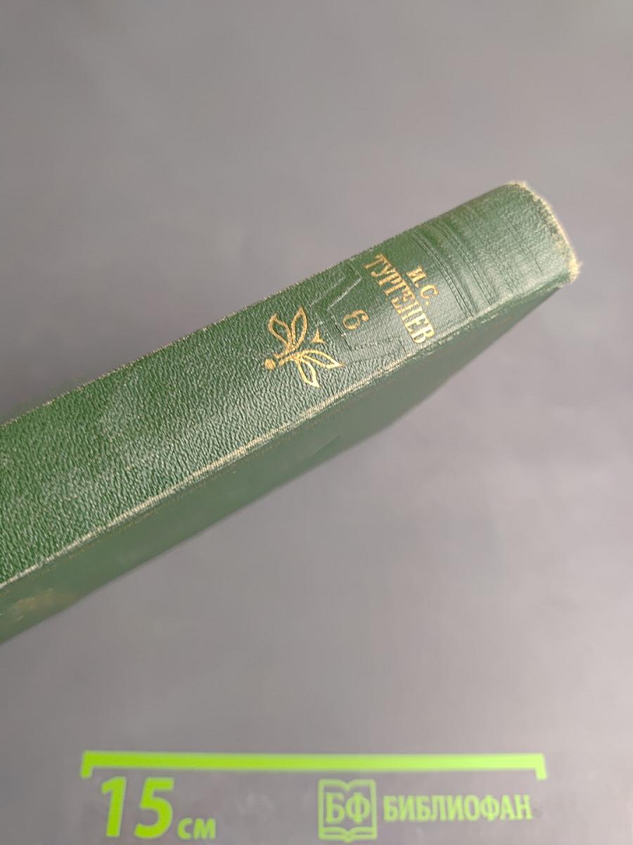 Собрание сочинений. Том шестой: Повести и рассказы 1854-1860 годов