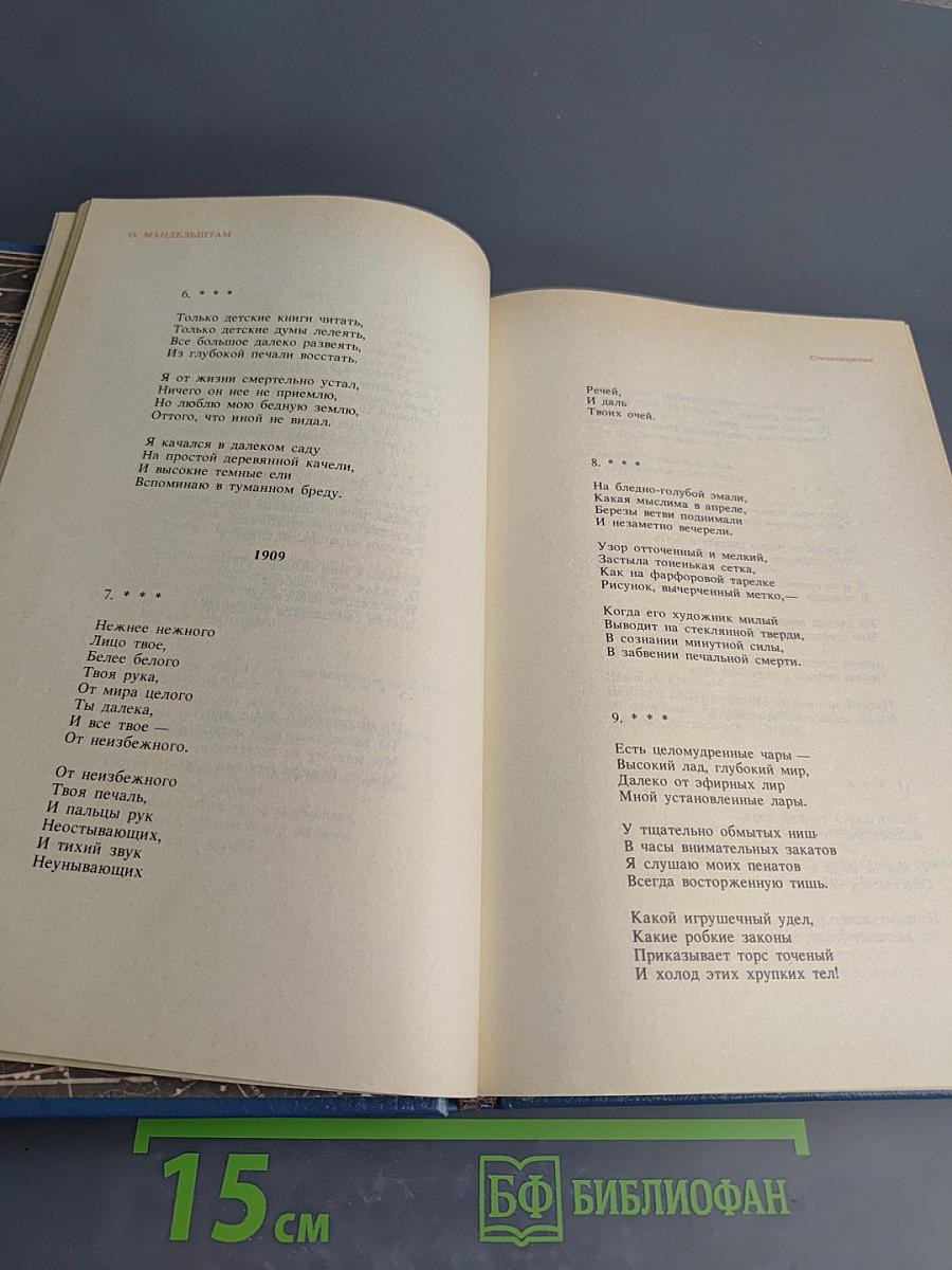 Стихотворения. Переводы. Очерки. Статьи