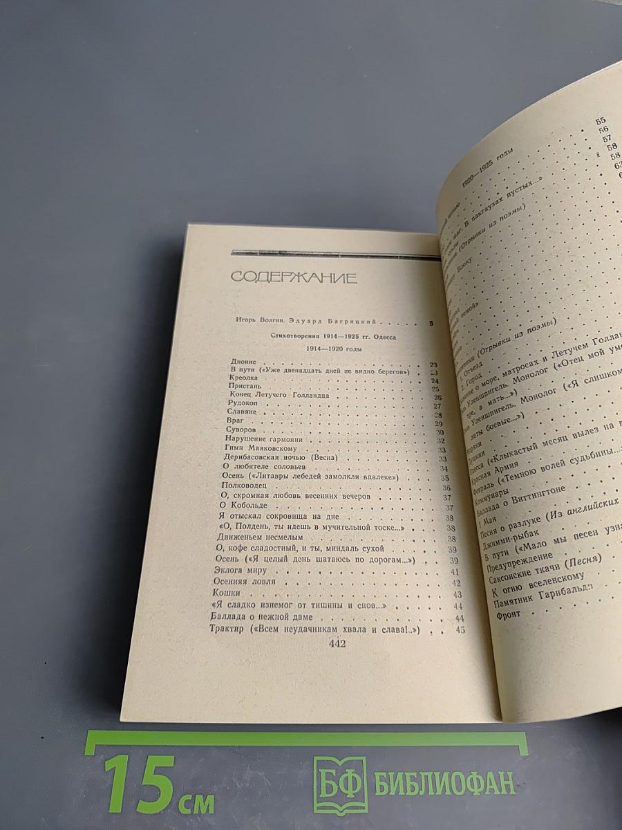 Эдуард Багрицкий. Стихотворения и поэмы